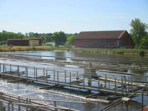 Das Bild zeigt im Hintergrund das Betriebsgebäude der Kläranlage in Beeskow, dann das Belebungsbecken, im Vordergrund sieht man die schwimmenden NachklÃ¤rbecken.